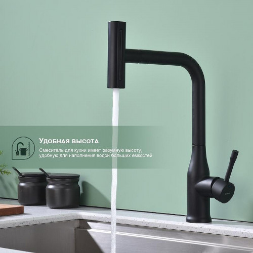 Смеситель для кухни Splenka S206.49.06 цвет Черный матовый