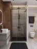Душевая дверь Cezares Lux 100 LUX-B-FS-1-100-C-GM профиль Оружейная сталь стекло прозрачное