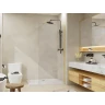 Душевая перегородка Azario Walk-In 110 AZ-251-110-BGL-CL профиль Брашированное золото стекло прозрачное