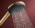 Ручной душ Hansgrohe Alive Select S 24500140 цвет Шлифованная бронза