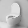 Комплект унитаза с инсталляцией AM.PM Awe FlashClean IS49051.111700 с сиденьем Микролифт и клавишей смыва Хром фарфор подвесной