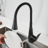 Смеситель для кухни Raffine F313H-3 цвет Черный