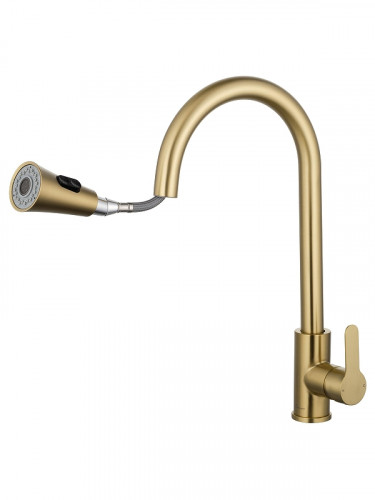 Смеситель для кухни Wonzon & Woghand WW-121E201L-BG цвет Брашированное золото