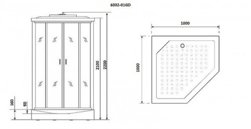 Душевая кабина Niagara Premium 100x100 NG-6002-01GD с гидромассажем