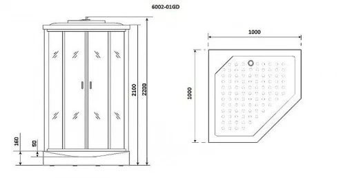 Душевая кабина Niagara Premium 100x100 NG-6002-01GD с гидромассажем