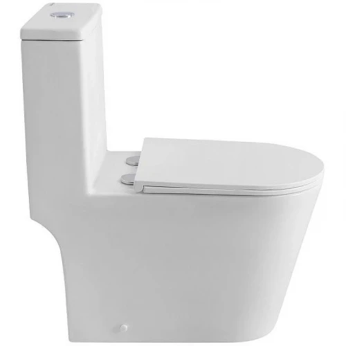 Унитаз моноблок BelBagno Tre-Tor BB673CP-MN-TOR/SC с сиденьем Микролифт