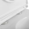 Унитаз моноблок BelBagno Tre-Tor BB673CP-MN-TOR/SC с сиденьем Микролифт