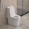 Унитаз моноблок BelBagno Tre-Tor BB673CP-MN-TOR/SC с сиденьем Микролифт