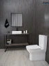 Унитаз компакт Gid Concavo Tn2125 62245Y цвет Белый с бачком и сиденьем Микролифт