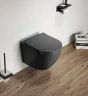 Унитаз CeramaLux TR2197MDH подвесной Серый матовый с сиденьем Микролифт