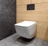 Унитаз Caprigo Modern Comfort C-1303 подвесной с сиденьем Микролифт фарфор подвесной