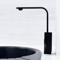 Смеситель для кухни WasserKRAFT Abens 2007 Чёрный матовый латунь