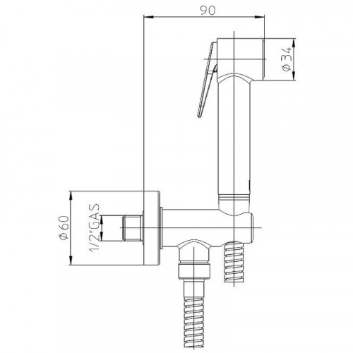 Гигиенический душ Bossini Paloma Brass Set C69038.030 Хром латунь на стену