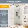 Душевая перегородка Reflection Walk in 100 RX200100CBL-13 профиль Черный матовый стекло прозрачное