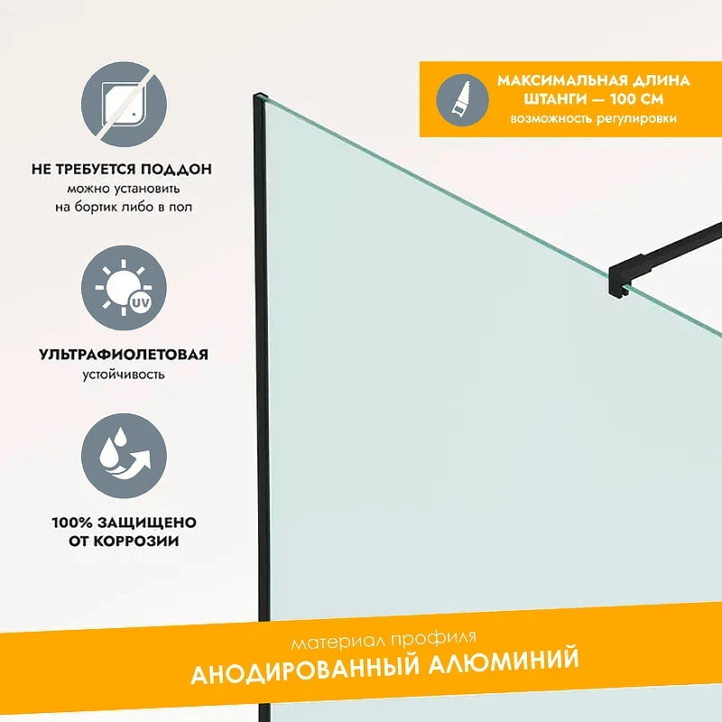 Душевая перегородка Reflection Walk in 100 RX200100CBL-13 профиль Черный матовый стекло прозрачное