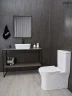 Унитаз компакт Gid Concavo Tn2126 62246Y цвет Белый с бачком и сиденьем Микролифт