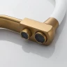 Смеситель для кухни Maretti Eleganza Gold ENG31RGF13 Золотой сатин Белый
