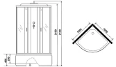 Душевая кабина Niagara Classic 100х100 NG-6709-14G с гидромассажем