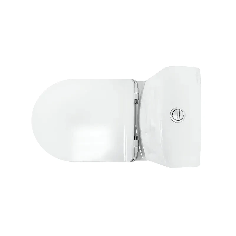 Унитаз компакт Sanita Luxe Next WC.CC/Next/2-SlimDM/WHT.G/S1 цвет Белый с бачком и сиденьем Микролифт