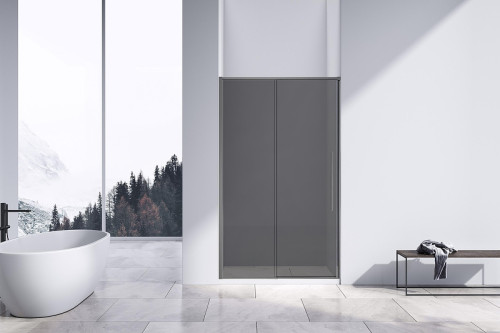 Душевая дверь