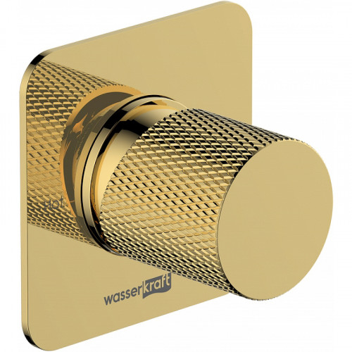 Смеситель для душа WasserKRAFT Ems 7651 Золото глянцевое латунь встраиваемый