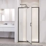 Душевая дверь RGW Passage PA-008B 120 350800813-24 профиль цвет Черный матовый стекло матовое-сатинат