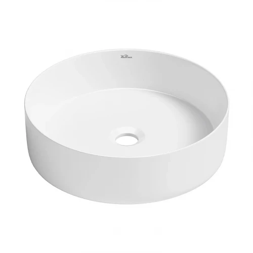 Раковина-чаша Wellsee Coax 40 323503000 цвет Белый глянцевый