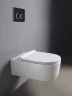 Унитаз Flaminia Link 5051/WC подвесной без сиденья