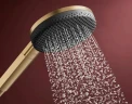 Душевой гарнитур Hansgrohe Alive Select S 24602140 цвет Шлифованная бронза