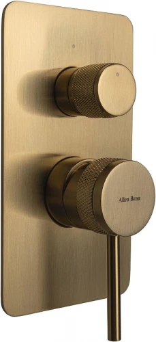 Смеситель для душа Allen Brau Priority 5.31011-GB цвет Золото