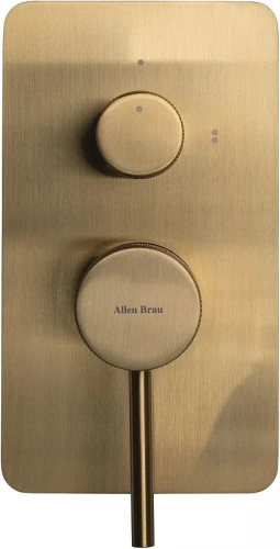 Смеситель для душа Allen Brau Priority 5.31011-GB цвет Золото