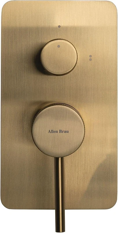 Смеситель для душа Allen Brau Priority 5.31011-GB цвет Золото