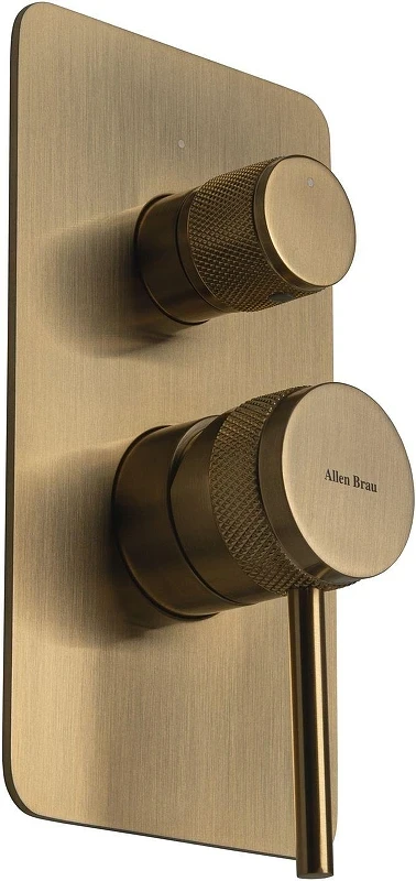Смеситель для душа Allen Brau Priority 5.31011-GB цвет Золото