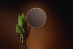 Зеркало Silver Mirrors Monaco 100 LED-00002767 с подсветкой Золото с бесконтактным выключателем и диммером стекло