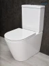 Унитаз компакт Gid Cortado Tn2189 62247Y цвет Белый с бачком и сиденьем Микролифт