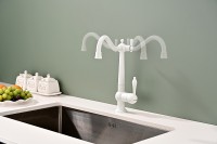 Смеситель для кухни Paulmark Retro Re213226-431 Белый матовый латунь