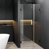 Душевая дверь Riho SZ Scandic NXT X102 98 R G001012121 профиль Черный матовый стекло прозрачное