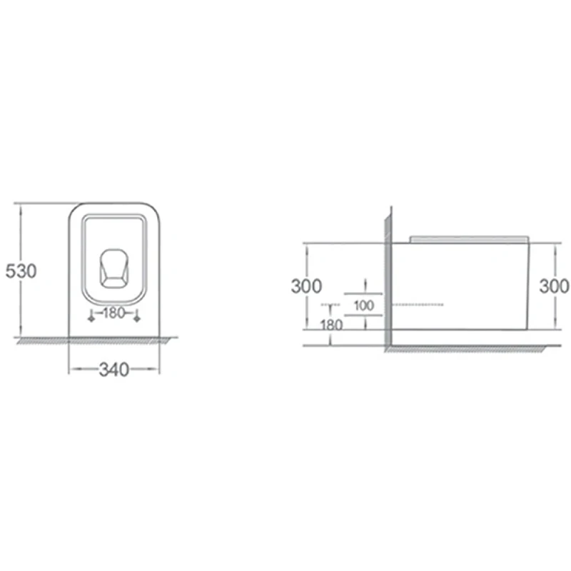 Унитаз биде Boheme Mane 970-SET-2-MW подвесной Белый матовый с сиденьем Микролифт фарфор подвесной
