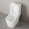 Унитаз-компакт Damixa Titan DX78C8601SC цвет Белый с бачком и сиденьем Микролифт