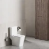 Унитаз-компакт Damixa Titan DX78C8601SC цвет Белый с бачком и сиденьем Микролифт