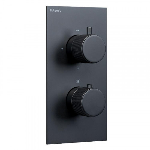 Смеситель для душа Splendy Passion PA204U2T2BM с термостатом цвет Черный матовый