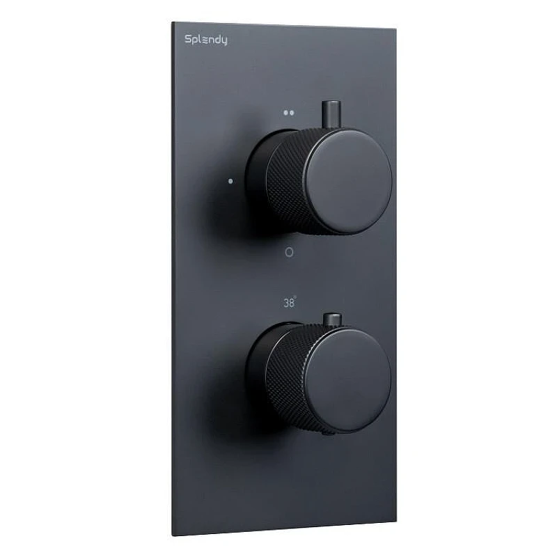 Смеситель для душа Splendy Passion PA204U2T2BM с термостатом цвет Черный матовый