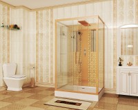 Душевая кабина Niagara Luxe NG-7711GBK 120x90 без гидромассажа
