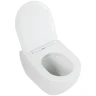 Комплект унитаза Cezares Stylus-Tor CZR-6601-TH-TOR/CZR2316SC с инсталляцией BelBagno BB002-80/BB014-SR-BIANCO с сиденьем Микролифт и Белой клавишей смыва фаянс подвесной