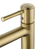 Смеситель для раковины Wonzon & Woghand Tor WW-88019073-BG цвет Брашированное золото