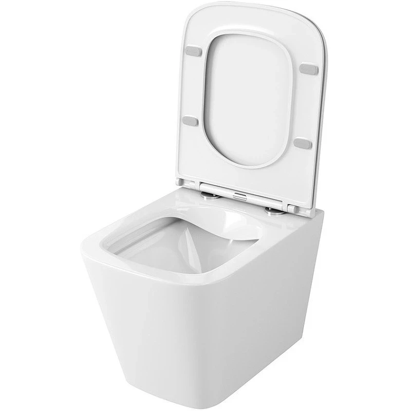Унитаз Owl 1975 Vatter OWLT190403S подвесной с сиденьем Микролифт фарфор подвесной