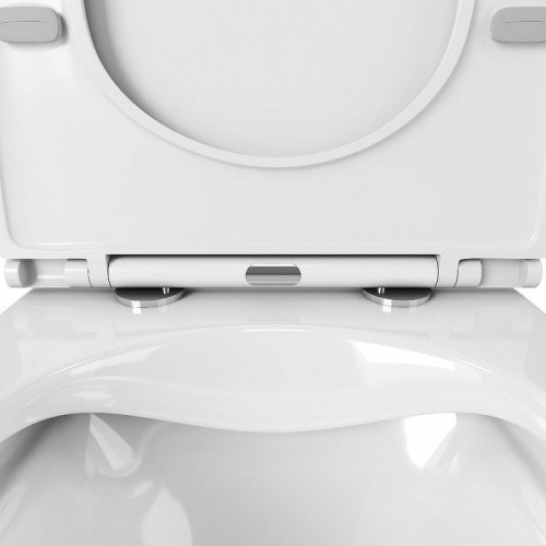 Унитаз Owl 1975 Vatter OWLT190403S подвесной с сиденьем Микролифт фарфор подвесной