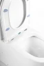Унитаз компакт BelBagno Flay-R BB2149CPR/BB870SC без бачка с сиденьем Микролифт фаянс напольный