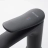 Смеситель для раковины Shevanik S4701H цвет Черный