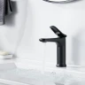 Смеситель для раковины Shevanik S4701H цвет Черный